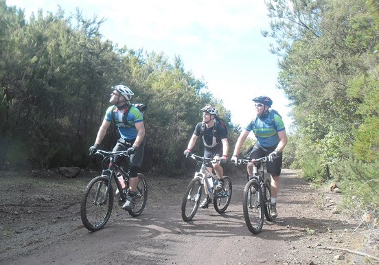 mountain bike tour in Tenerife