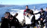 PADI open water advanced course in Puerto de la Cruz