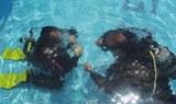 PADI open water course in Tenerife