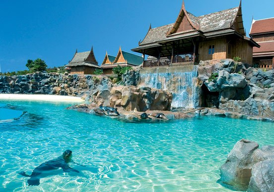 Sea Lion Island in Siam Park