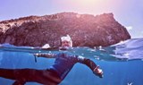 Tenerife guided snorkelling tour.jpg