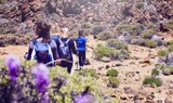 Hiking in the moonlike landscape of Teide National Park.jpg