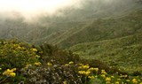 hike in Teno adventure