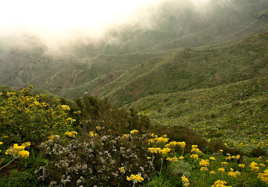 hike in Teno adventure