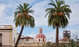 La Orotava historical town-min.jpg