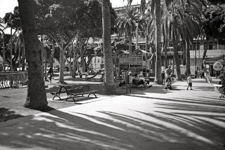 puerto de la cruz-52-plaza charco (Copy).jpg