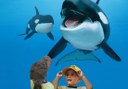 killer whales in Loro Park