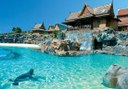 Sea Lion Island in Siam Park