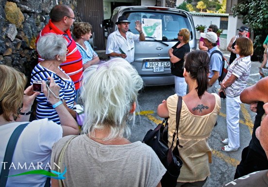 VIP tour around Teide