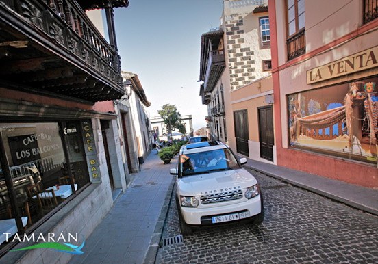 VIP tour around Tenerife
