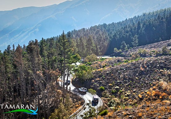 VIP Tour Teide National Park