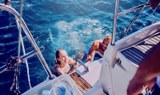 Enjoy swimming on whale watching safari Tenerife-min.jpg