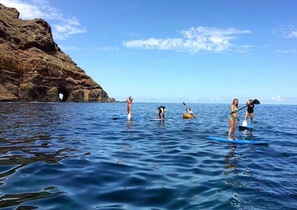 Stand up paddle excursion Tenerife.jpg