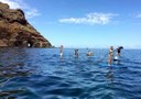 Stand up paddle excursion Tenerife.jpg