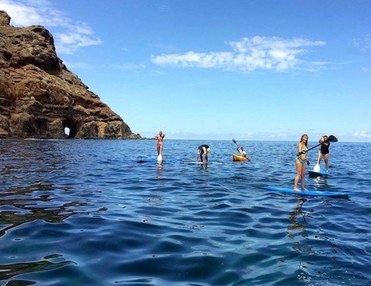Stand Up Paddle