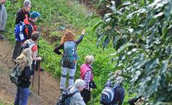 Hiking in Tenerife: Chinamada