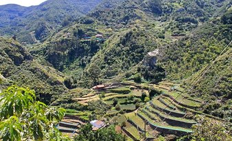 Hiking in Tenerife: El Batan (Route of Trade)