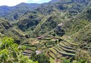 hike through El Batan route in Tenerife
