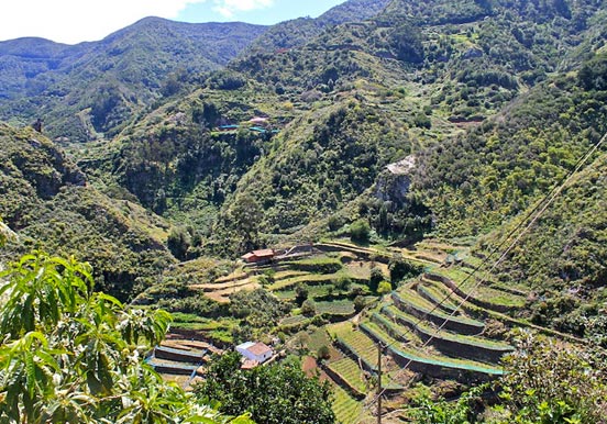 hike through El Batan route in Tenerife