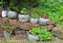 potted plants in El Batan villges