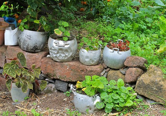 potted plants in El Batan villges