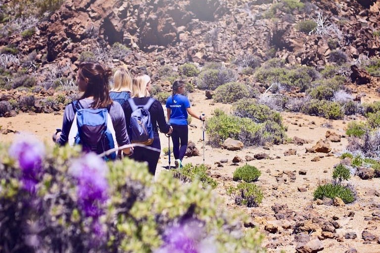 Hiking in the moonlike landscape of Teide National Park.jpg