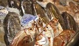 Enjoy Tenerife's gastronomy on bike tour.jpg