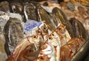 Enjoy Tenerife's gastronomy on bike tour.jpg