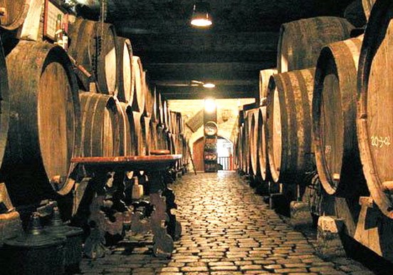 Wine cellar Tenerife biking tour.jpg