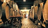 Wine cellar Tenerife biking tour.jpg