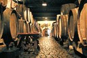 Wine cellar Tenerife biking tour.jpg