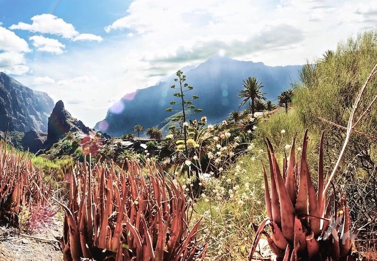 Amazing landscape view Masca hike.jpg