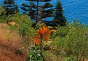 Palmetum Botanical Garden in Tenerife