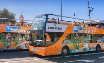 Santa Cruz Tenerife City View 24h Hop-on and Hop-off