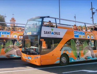 Santa Cruz Tenerife City View 24h Hop-on and Hop-off