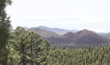 quad tour in Masca