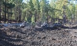 discover Teide forest thru quad adventure