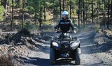 quad tour in Teide