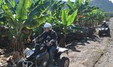 quad ride in Tenerife