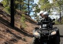 quad safari in Tenerife