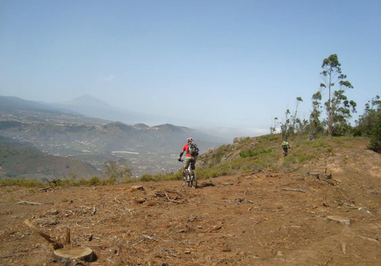 Tenerife bike tour adventure