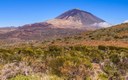 hike to Mount Teide