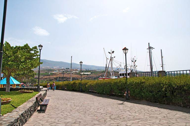 DSC_7541 (Copy).jpg