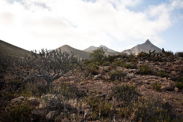 Rugged landscape of Arona.jpg