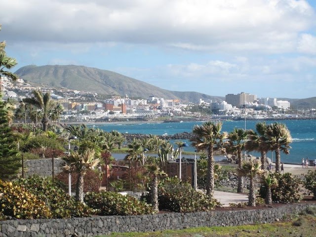 View from Playa de la Caleta- Adeje- Tenerife. (Copy).jpg