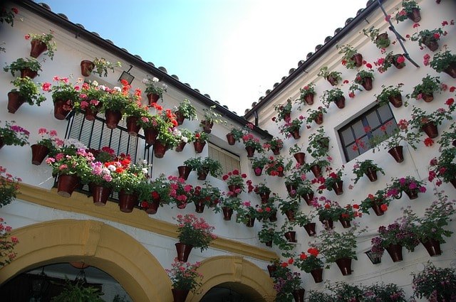 Flower pots adorning hourse in Cordoba.jpg