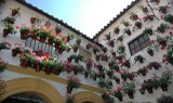 Flower pots adorning hourse in Cordoba.jpg