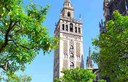Giralda in Seville City tour