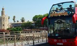 Seville City hop-on and hop-off tour