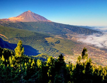 Gran tour en autobús Teide Masca (recogida en el Sur)